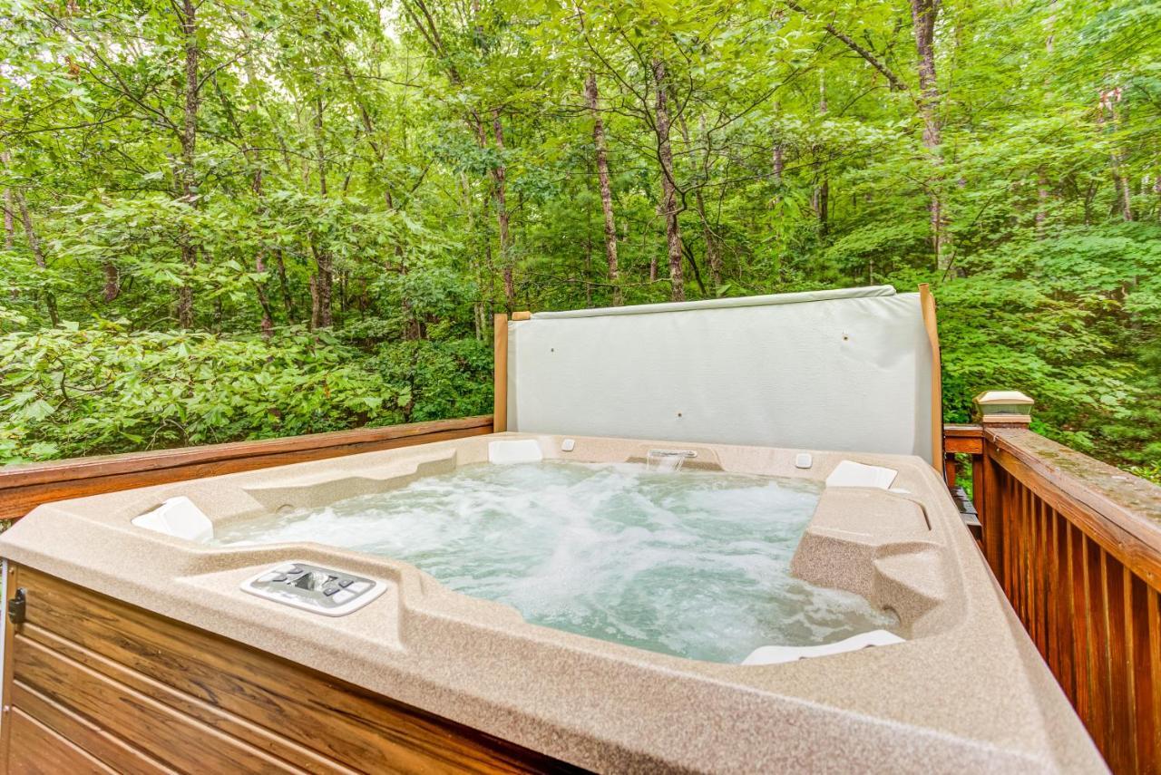 Lazy Bear Den - 2 Bed 1 Bath Vacation Home In Blue Ridge Kültér fotó